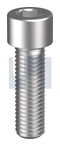 M4x5 Socket Head Cap Screw Zinc