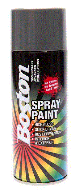 Paint Aerosol Silver 250g Enamel Boston