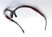 [STEEL.900099] Specs Clear Lens Anti Fog Sting ArcVision