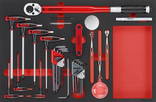 [TG.TTEX17] Torque Wrench Set 17pc EVA inc Hex Bits Teng
