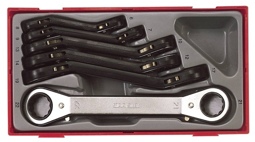 [TG.TTRORS] Gear Ratchet Spanner Set Ring 6-22mm 6pc Tray Teng